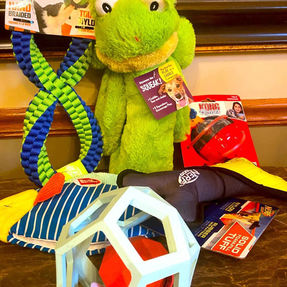 Big Dog Toys For The Toy Box!! NWT